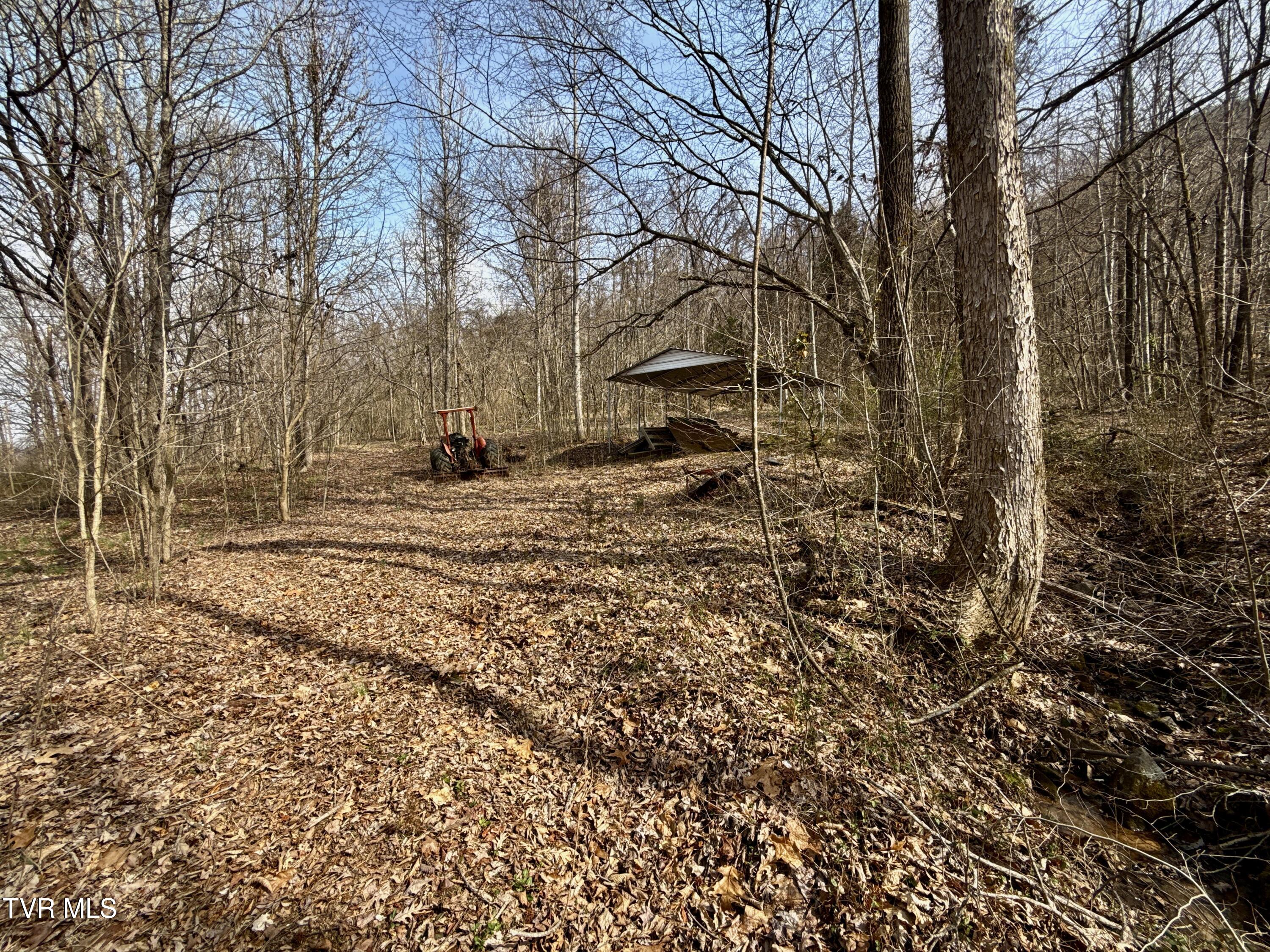 605 Devils Nose Road, Unit 2 Rogersville, TN 37857 - Photo 36 of 85 _Pic36 (25)