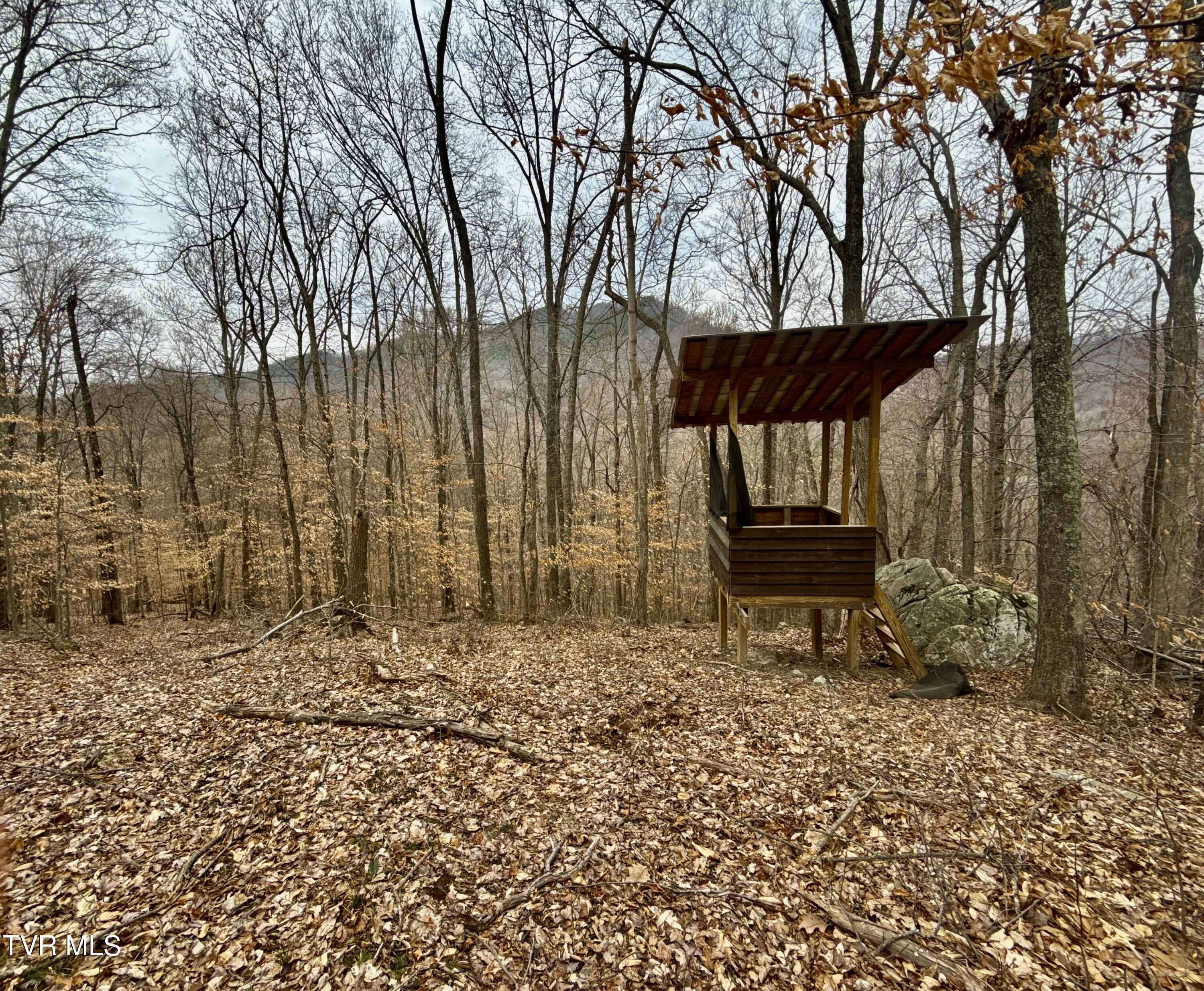 605 Devils Nose Road, Unit 2 Rogersville, TN 37857 - Photo 41 of 85 _Pic41 (22)