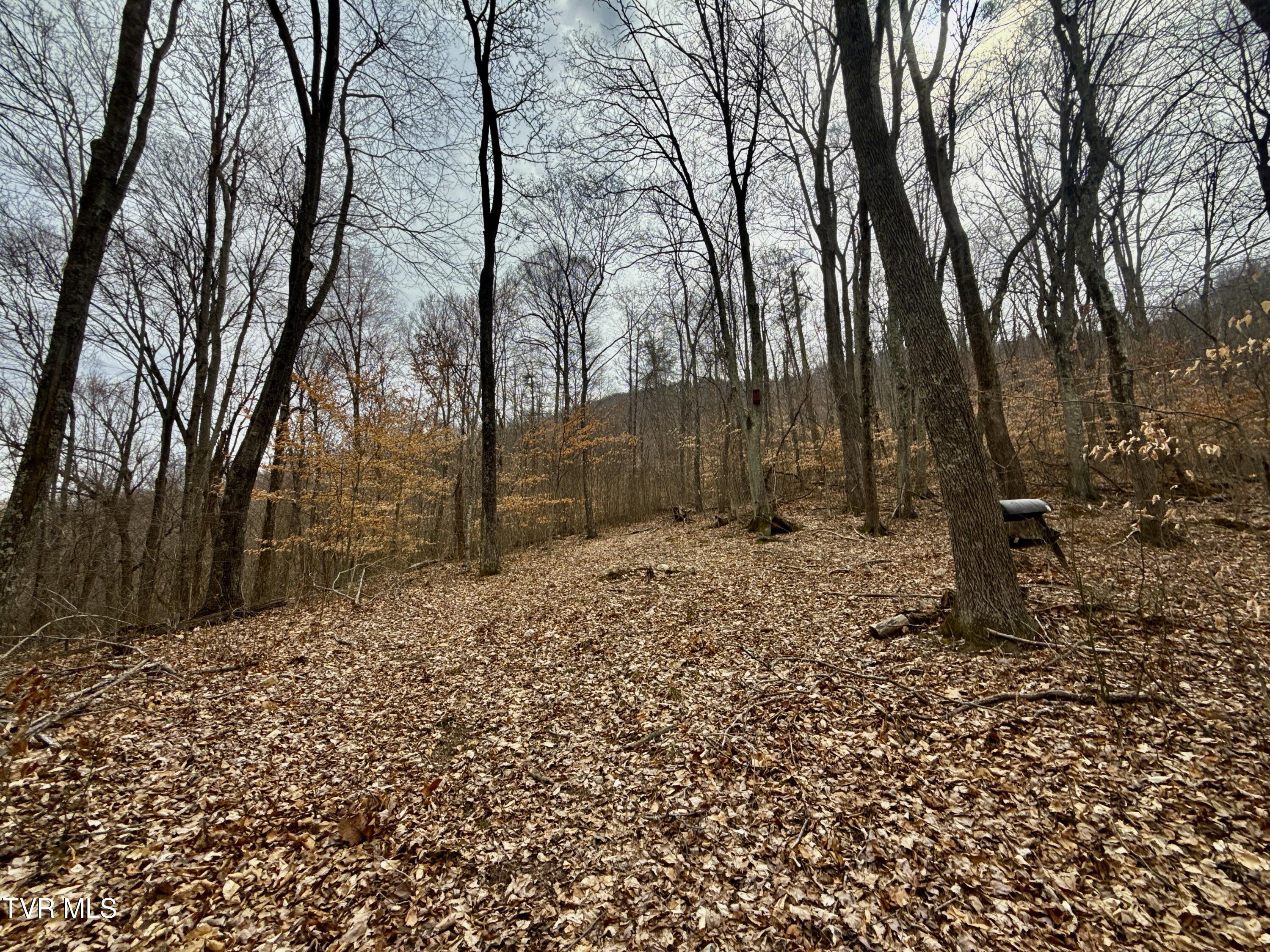 605 Devils Nose Road, Unit 2 Rogersville, TN 37857 - Photo 43 of 85 _Pic44 (21)