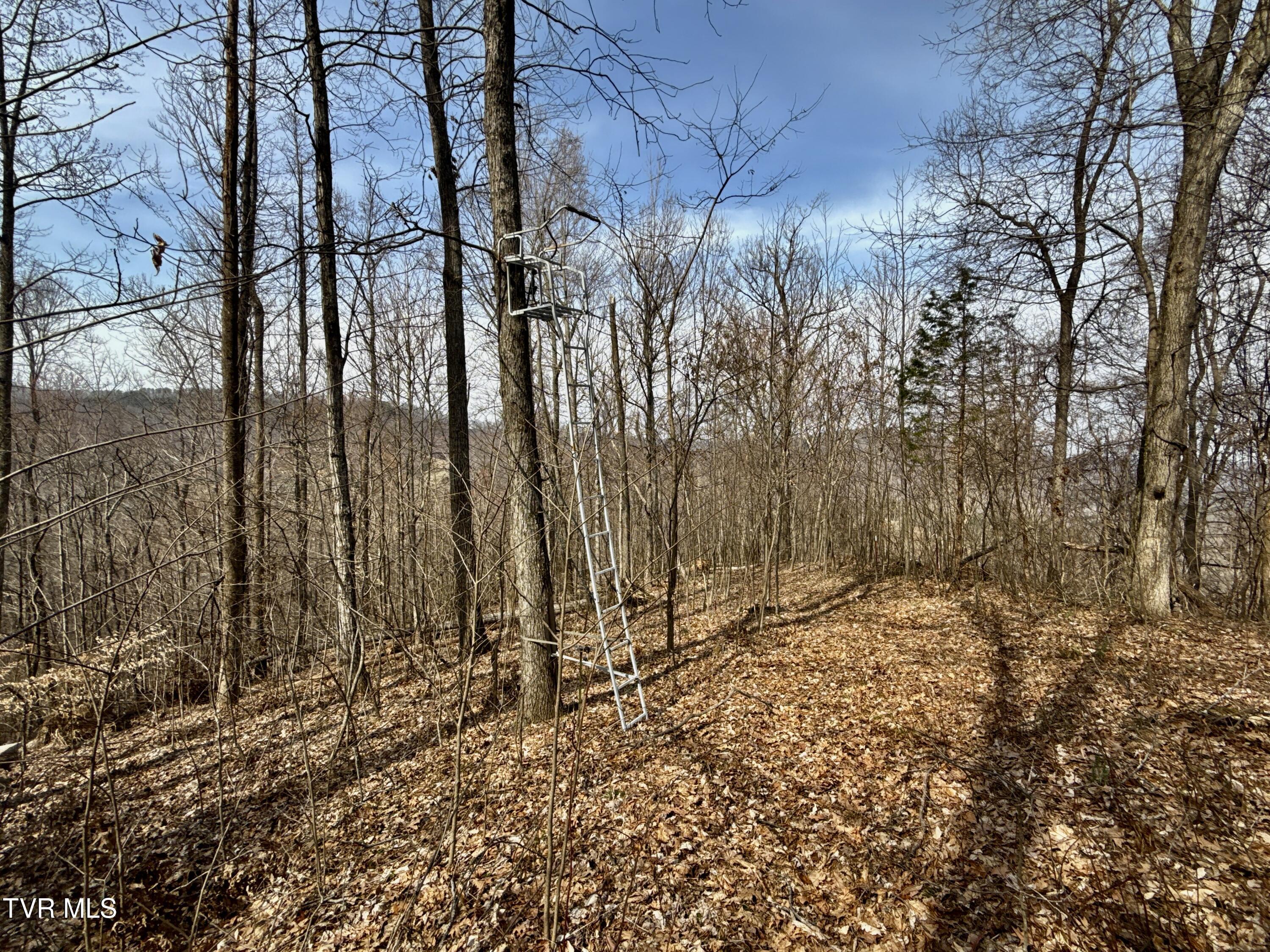 605 Devils Nose Road, Unit 2 Rogersville, TN 37857 - Photo 46 of 85 _Pic46 (20)