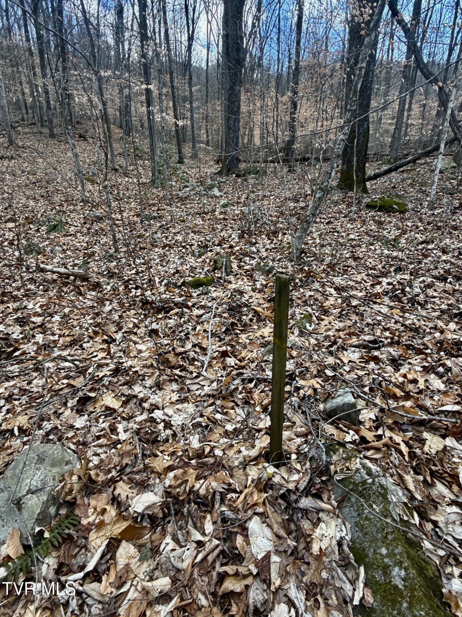605 Devils Nose Road, Unit 2 Rogersville, TN 37857 - Photo 48 of 85 _Pic48 (20)
