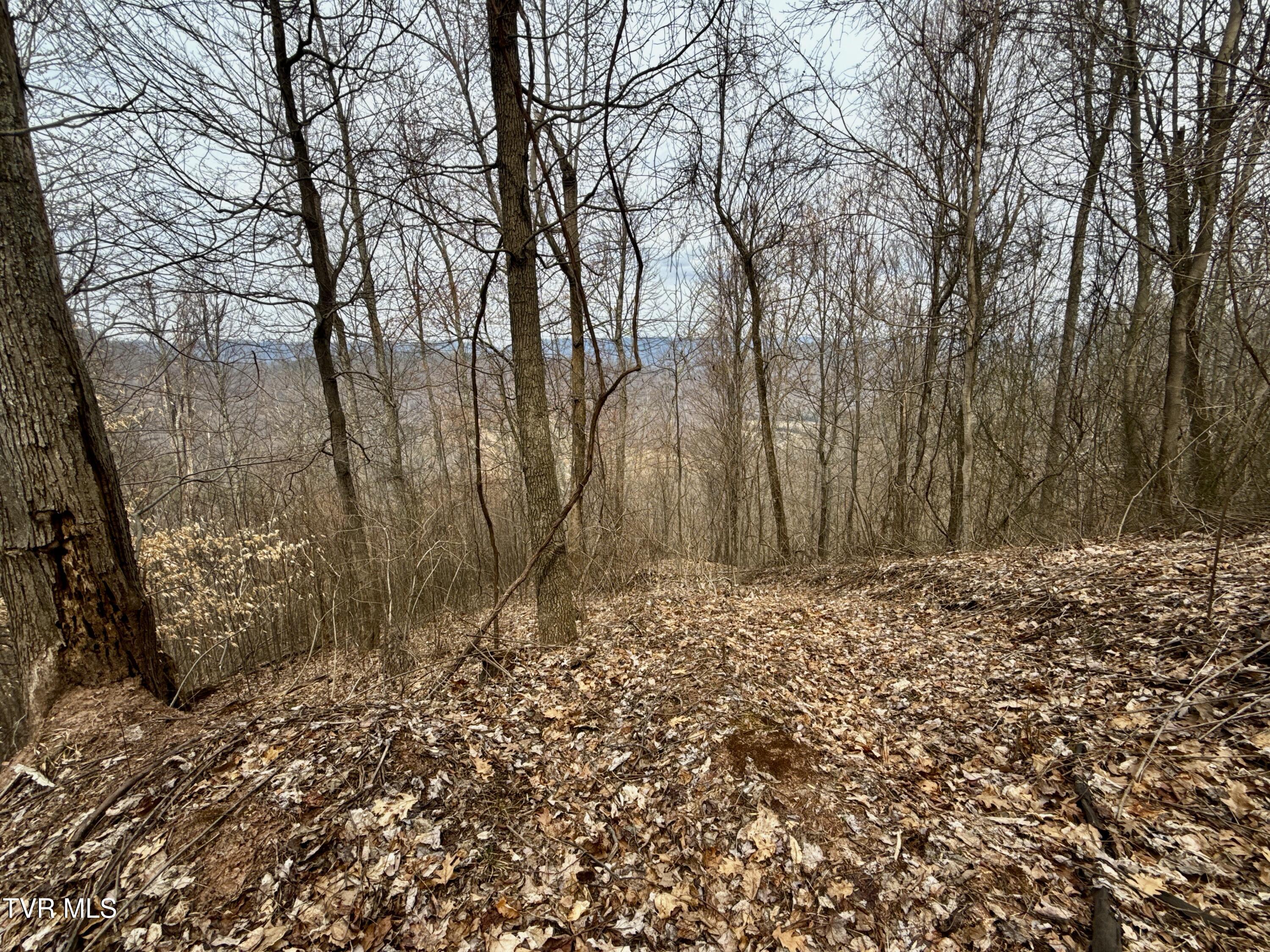605 Devils Nose Road, Unit 2 Rogersville, TN 37857 - Photo 49 of 85 _Pic49 (23)
