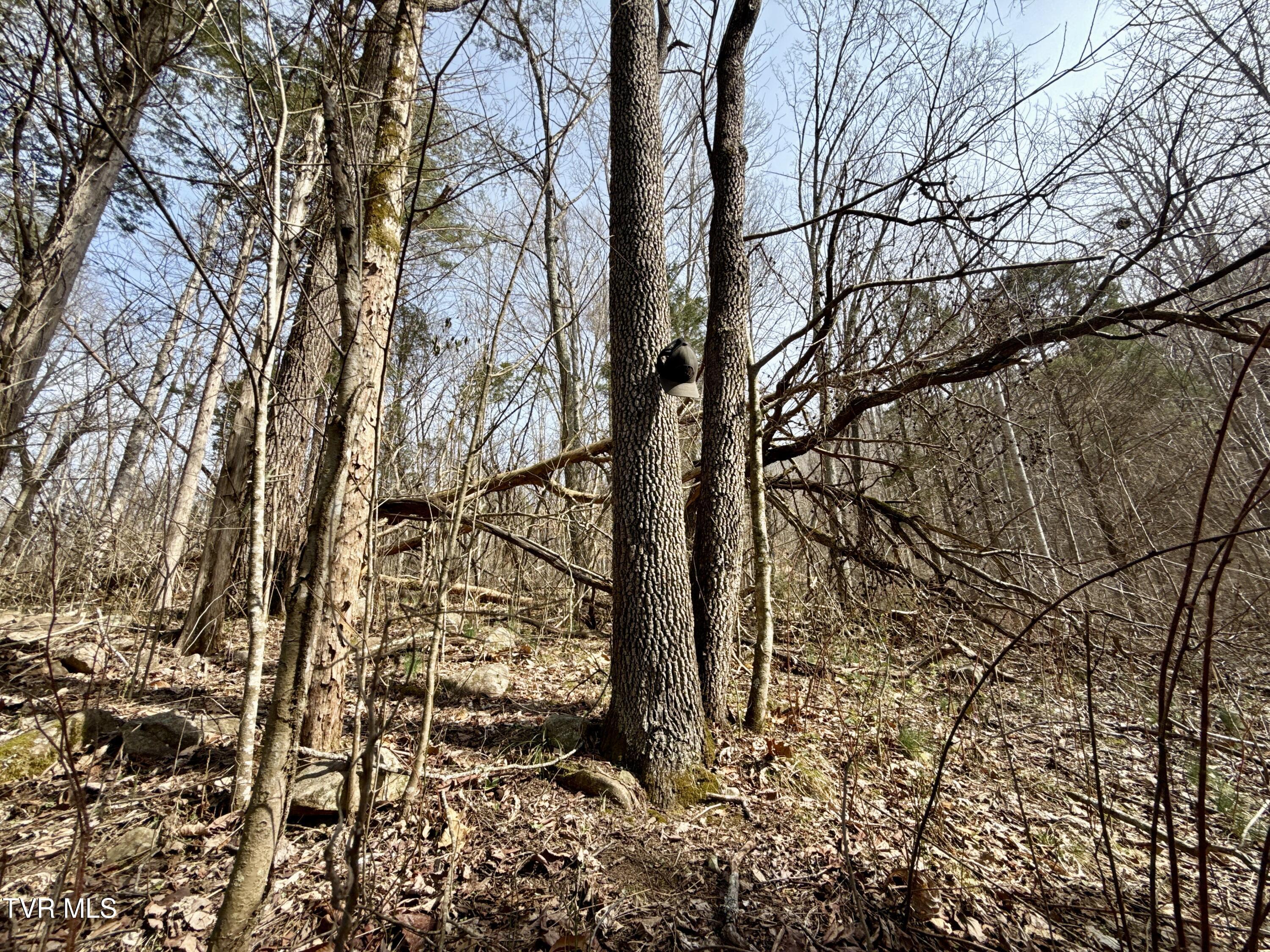 605 Devils Nose Road, Unit 2 Rogersville, TN 37857 - Photo 51 of 85 _Pic51 (23)