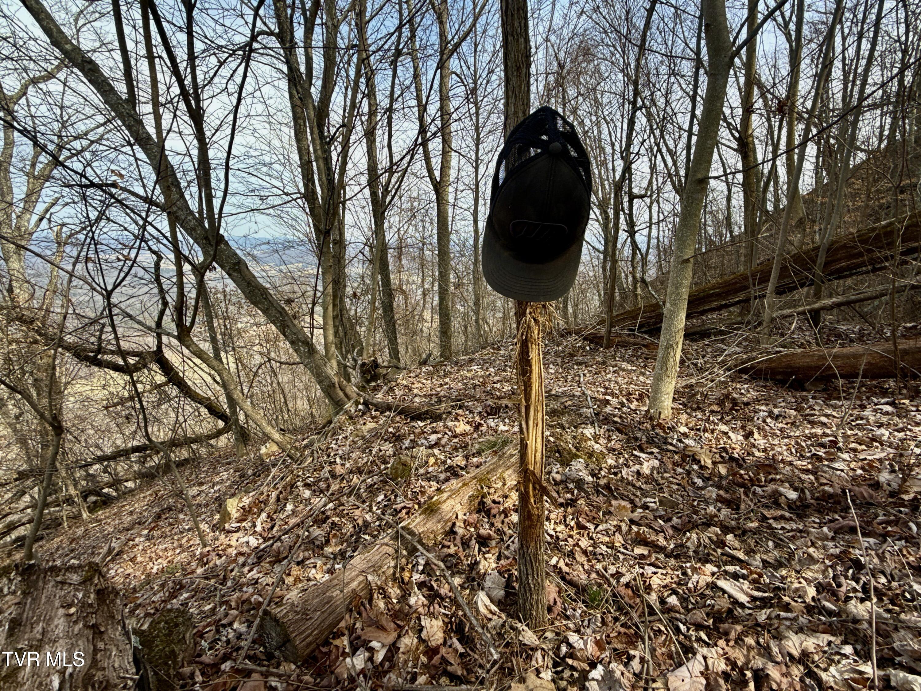 605 Devils Nose Road, Unit 2 Rogersville, TN 37857 - Photo 58 of 85 _Pic58 (17)