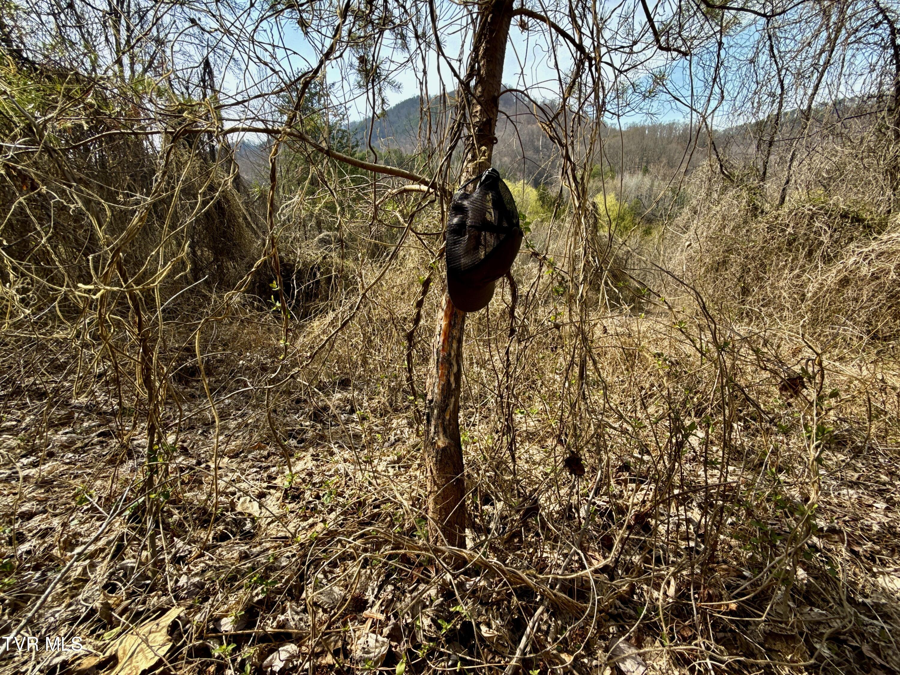 605 Devils Nose Road, Unit 2 Rogersville, TN 37857 - Photo 59 of 85 _Pic59 (17)