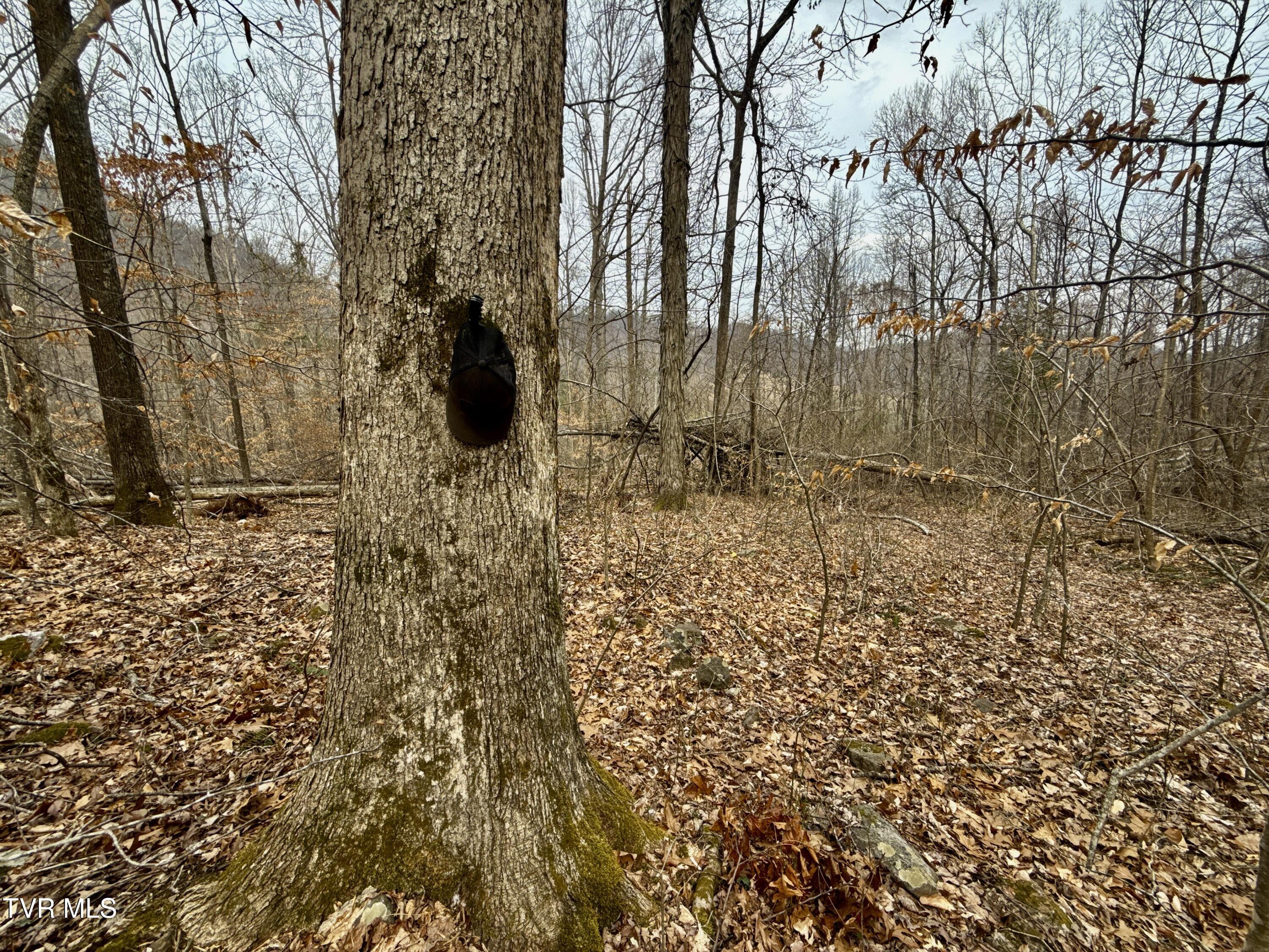605 Devils Nose Road, Unit 2 Rogersville, TN 37857 - Photo 60 of 85 _Pic60 (17)