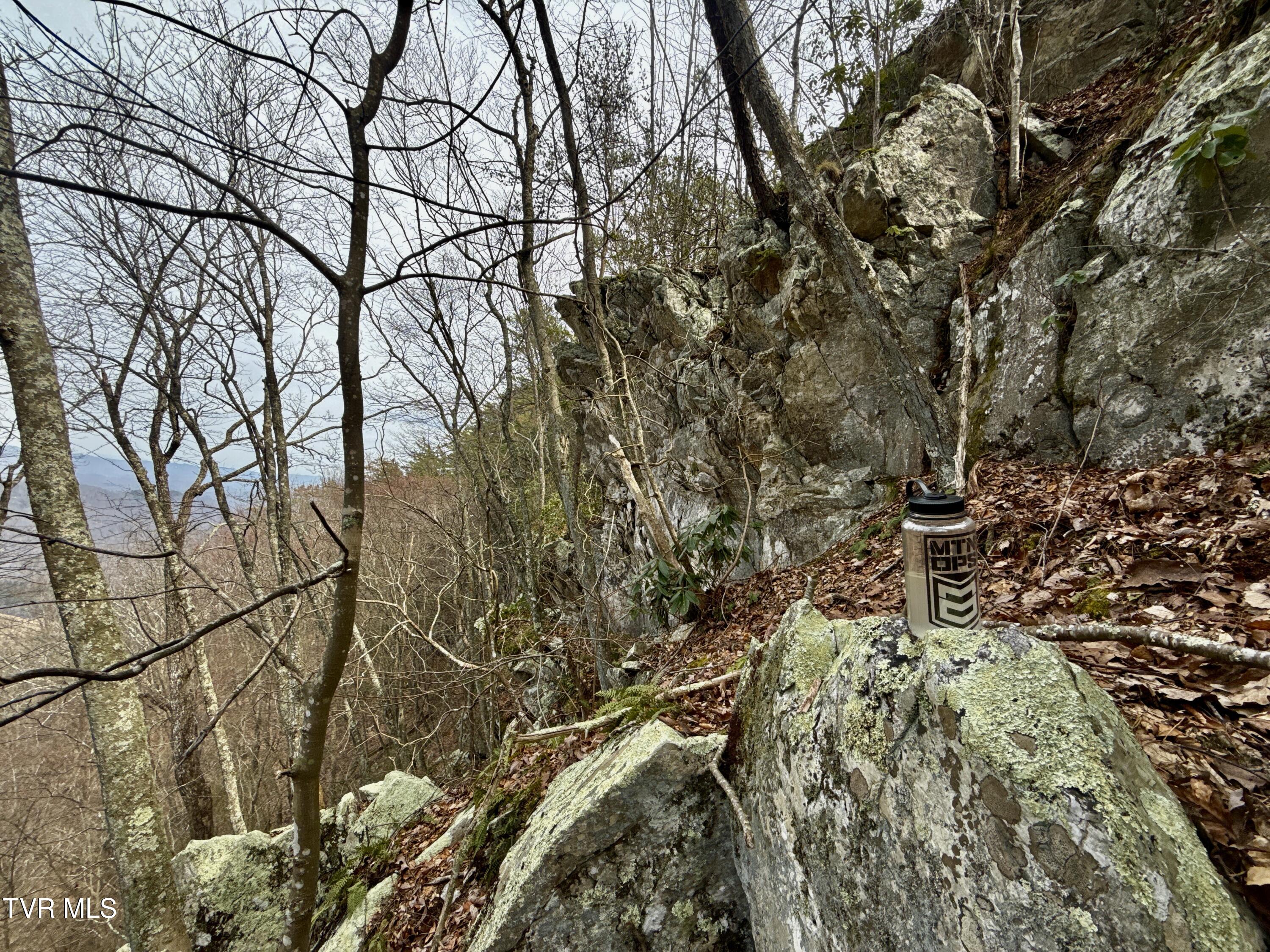 605 Devils Nose Road, Unit 2 Rogersville, TN 37857 - Photo 63 of 85 _Pic63 (18)
