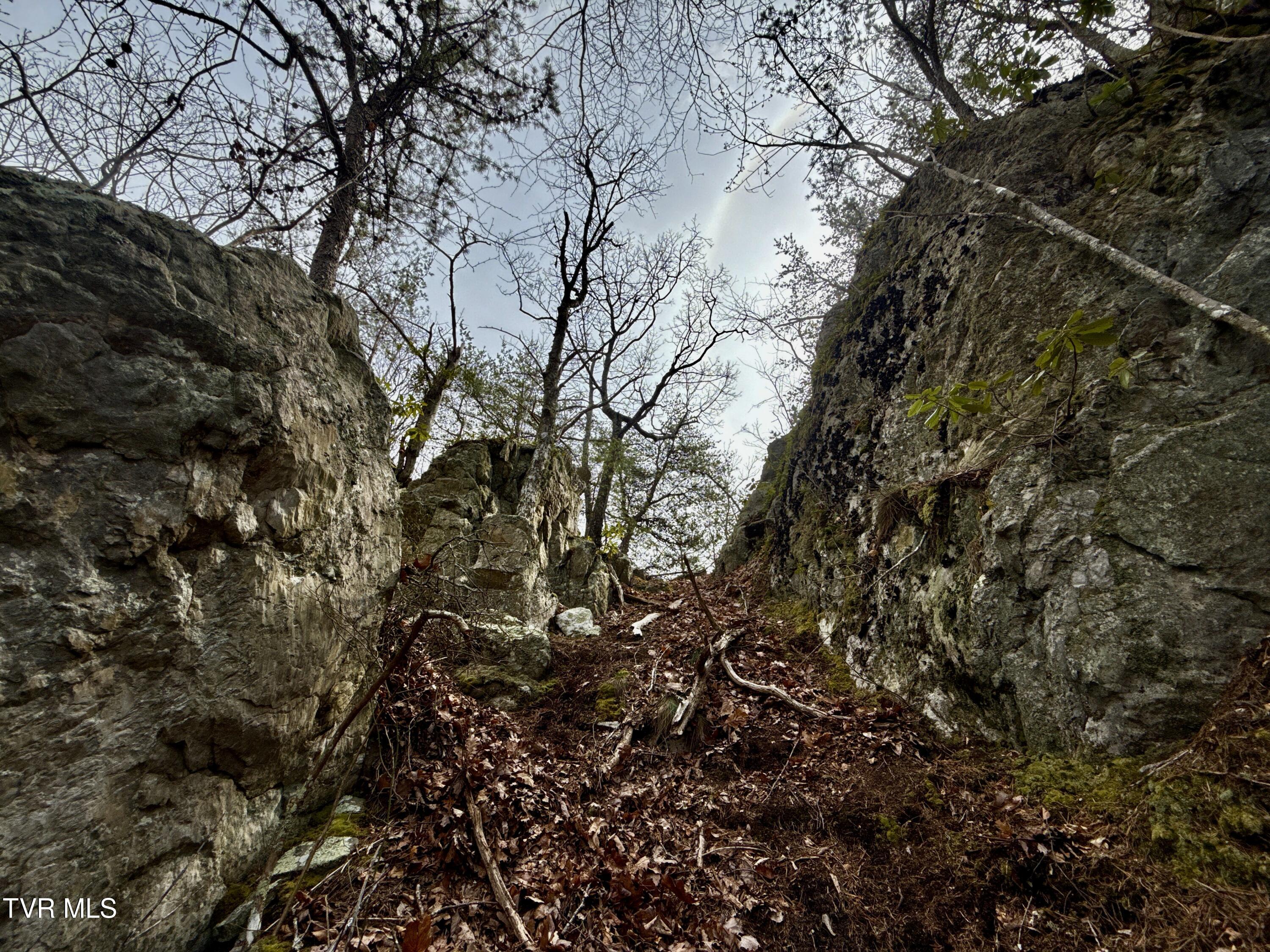 605 Devils Nose Road, Unit 2 Rogersville, TN 37857 - Photo 64 of 85 _Pic64 (17)