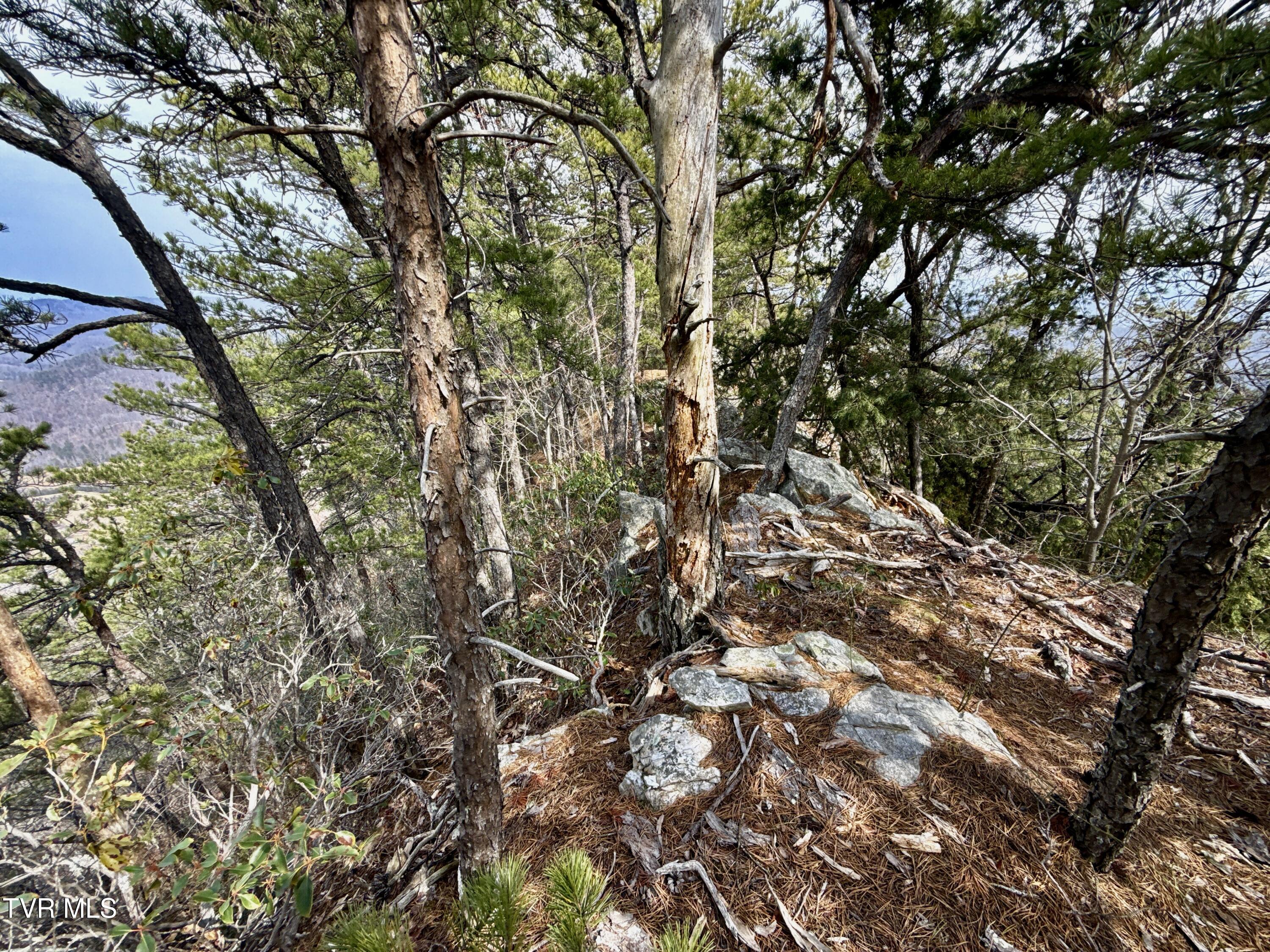 605 Devils Nose Road, Unit 2 Rogersville, TN 37857 - Photo 66 of 85 _Pic66 (13)
