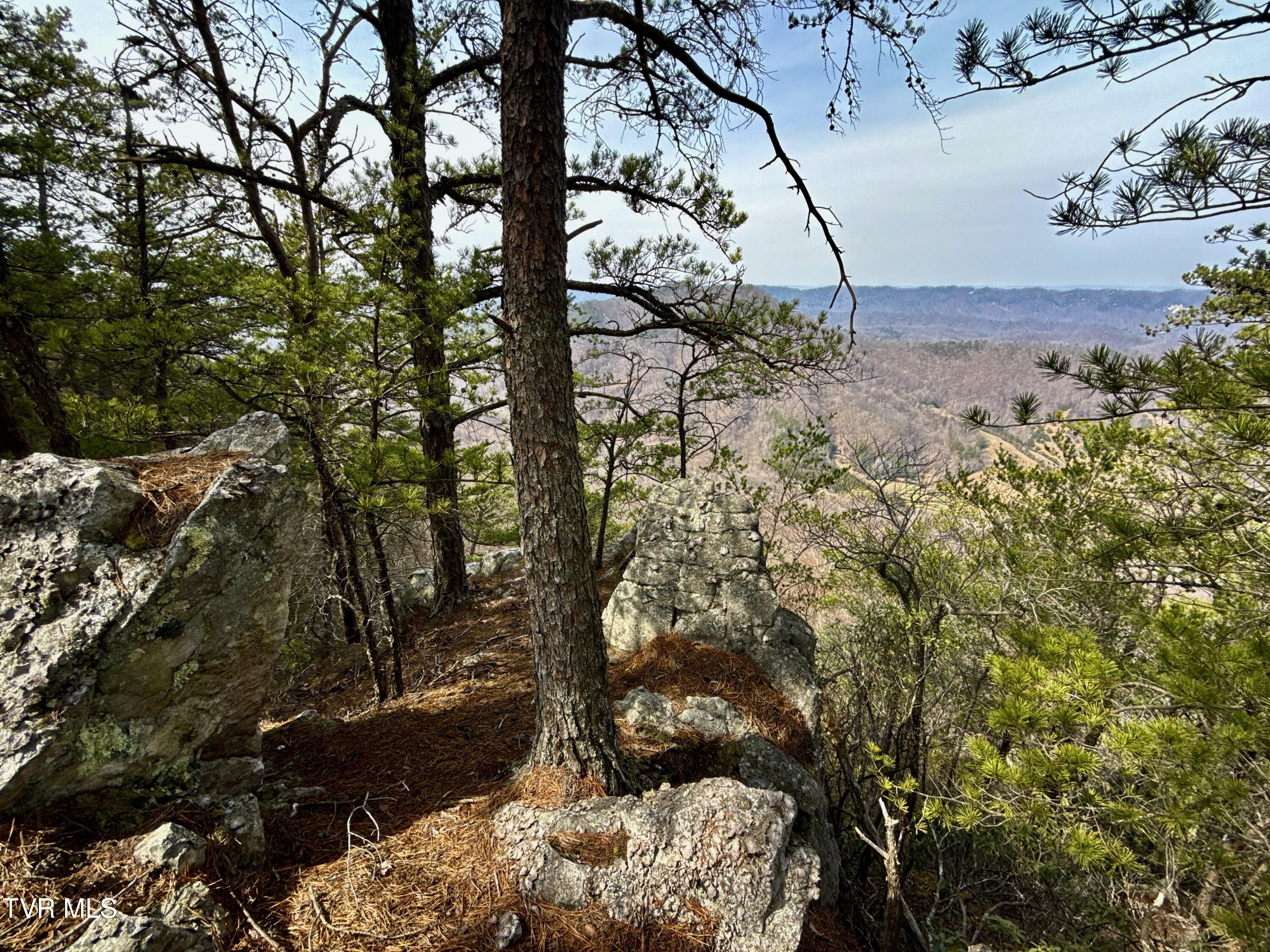 605 Devils Nose Road, Unit 2 Rogersville, TN 37857 - Photo 74 of 85 _Pic74 (9)