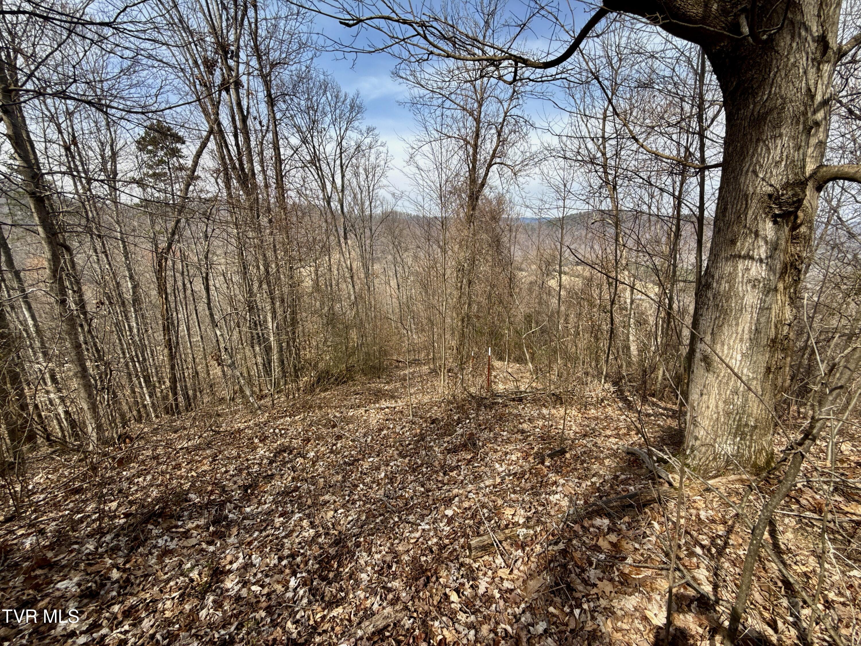 605 Devils Nose Road, Unit 2 Rogersville, TN 37857 - Photo 77 of 85 _Pic77 (2)