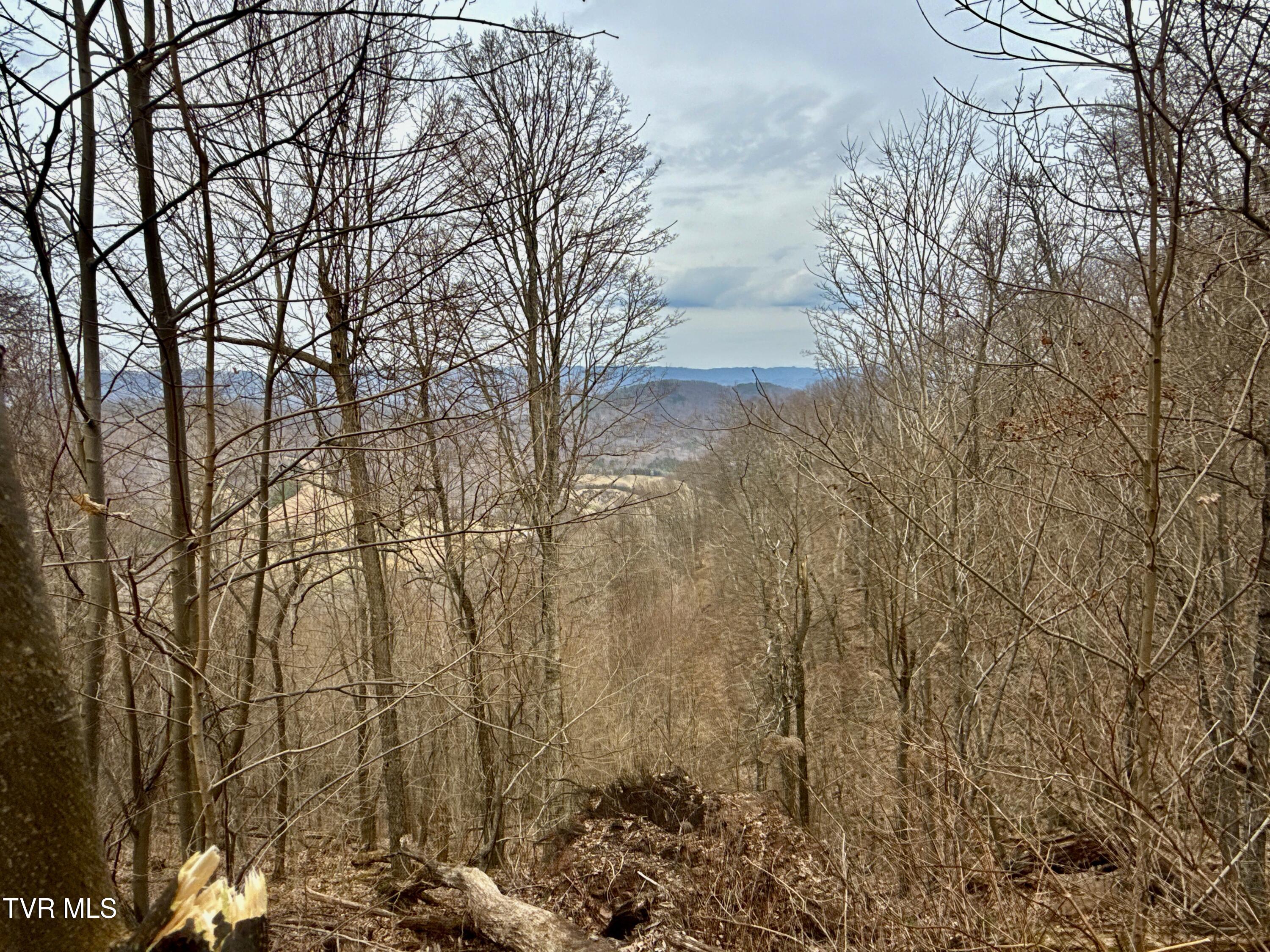 605 Devils Nose Road, Unit 2 Rogersville, TN 37857 - Photo 79 of 85 _Pic79 (2)
