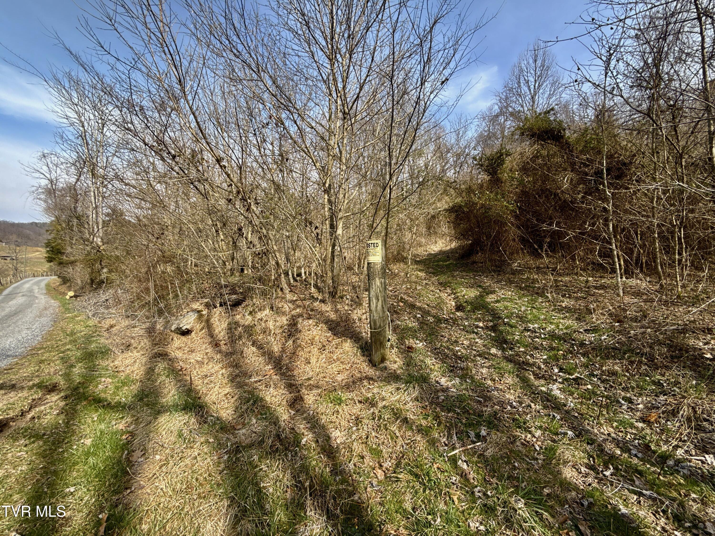 605 Devils Nose Road, Unit 2 Rogersville, TN 37857 - Photo 80 of 85 _Pic80 (2)