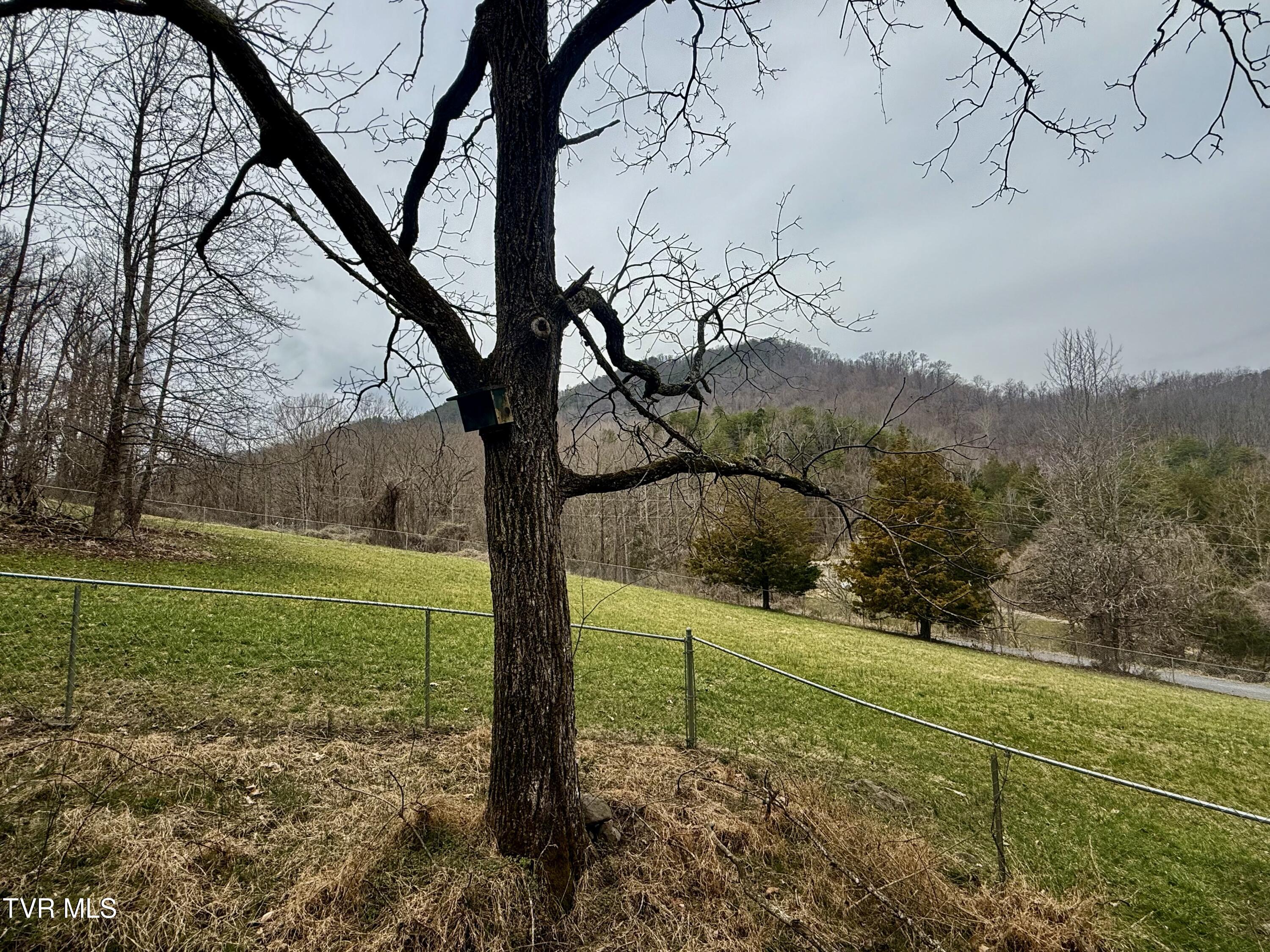 605 Devils Nose Road, Unit 2 Rogersville, TN 37857 - Photo 8 of 85 _Pic8 (48)