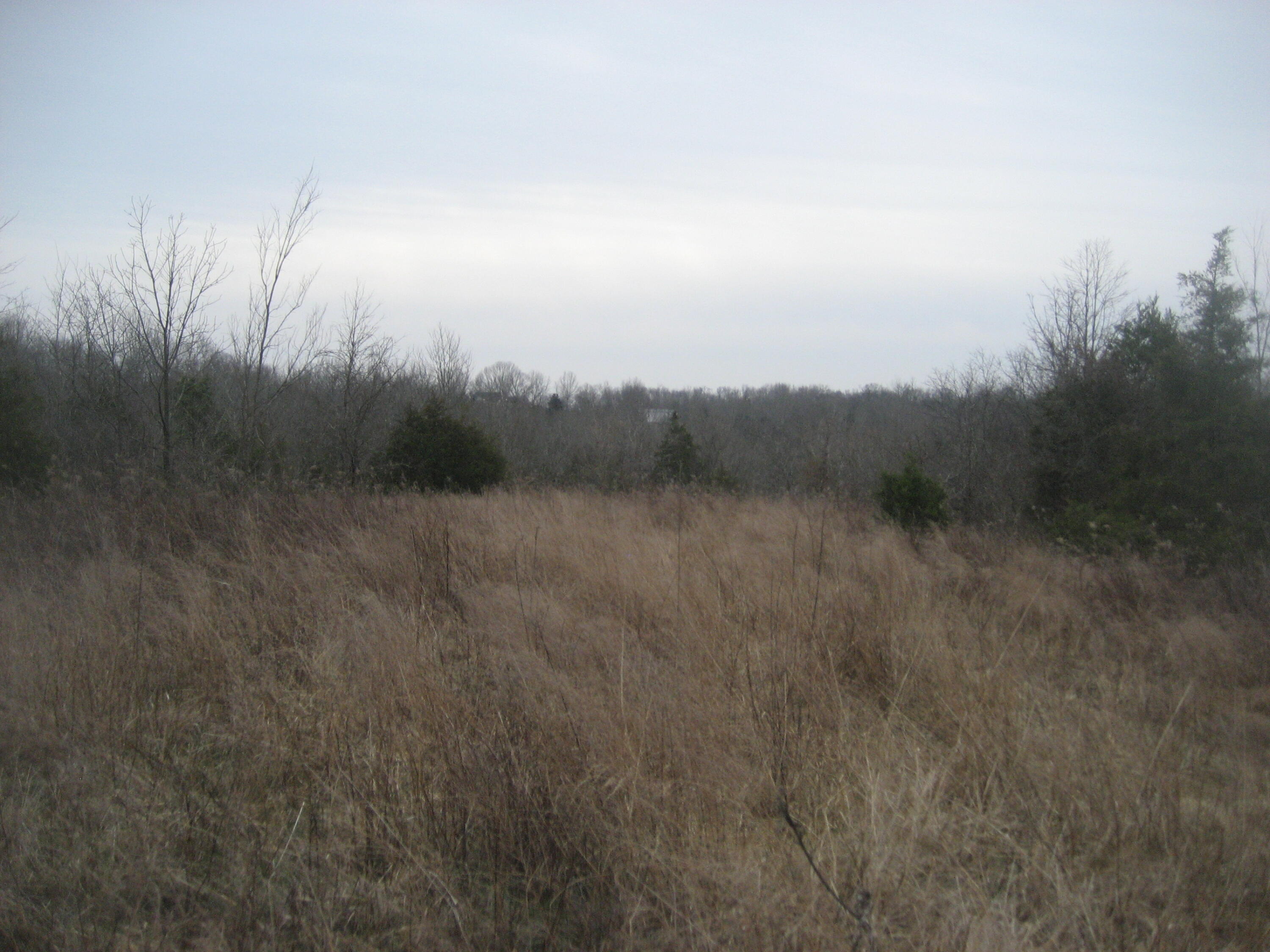 1235 Rutherford School Road Lawrenceburg, KY 40342 - Photo 12 of 31 IMG_1352