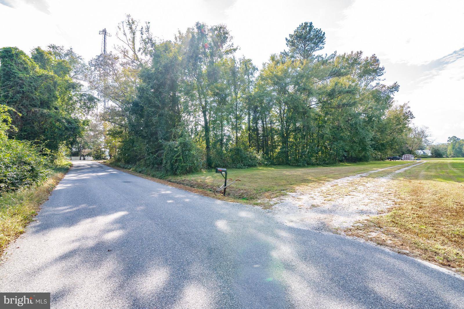 32376 Mt Gideon Road Hanover, VA 23069 - Photo 24 of 25 Exterior (General)