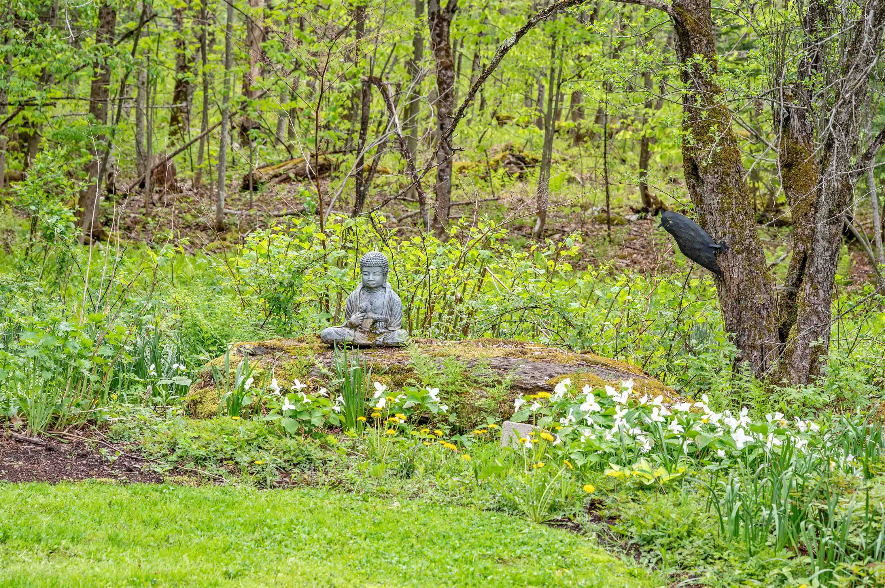 753 Scrabble Hill Road Duxbury, VT 05676 - Photo 54 of 57