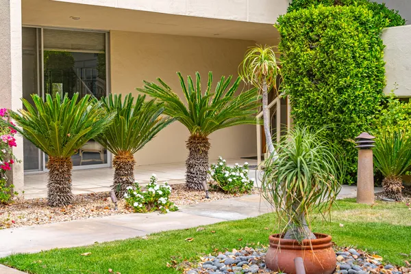 a plant with a plant in front of it