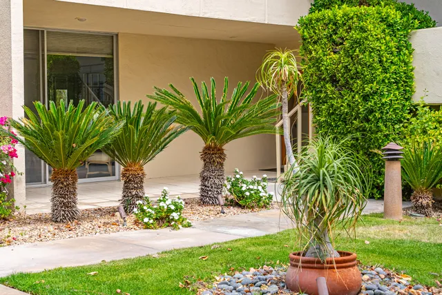 a plant with a plant in front of it