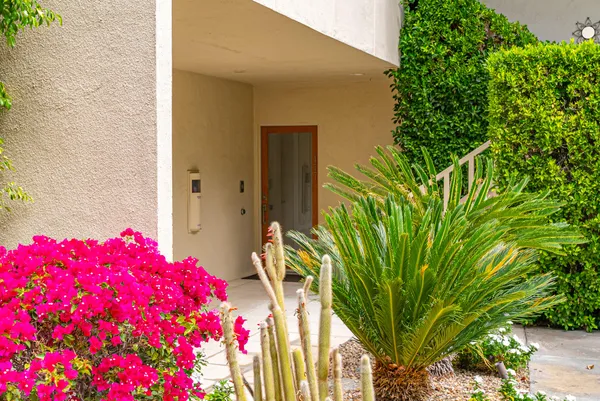 a flower plants in front of a door