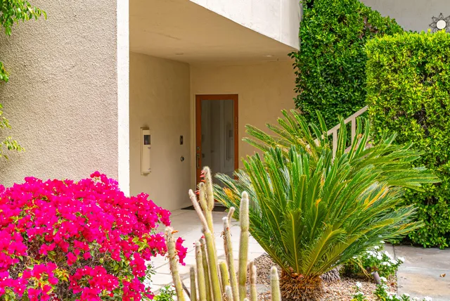 a flower plants in front of a door
