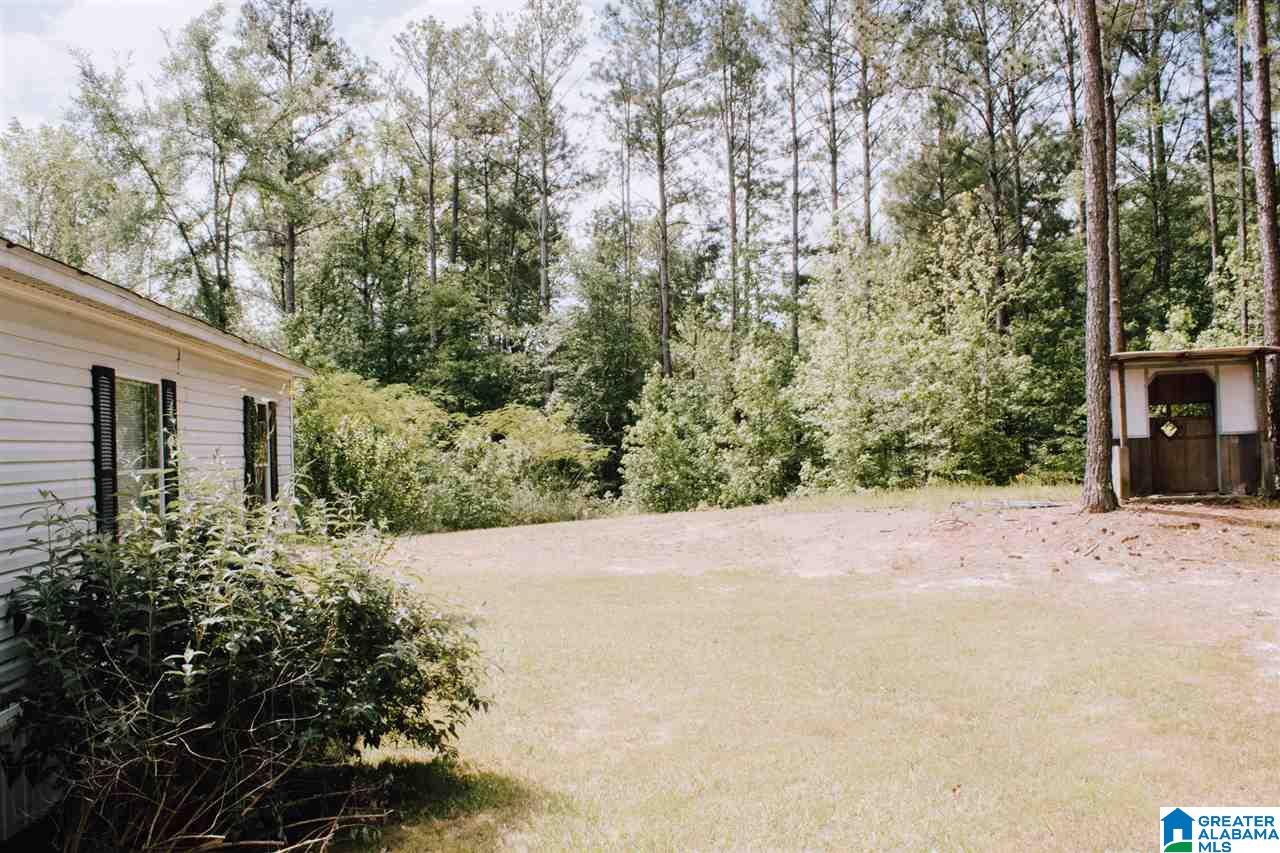 65 Mountainview Road Wellington, AL 36279 - Photo 30 of 37