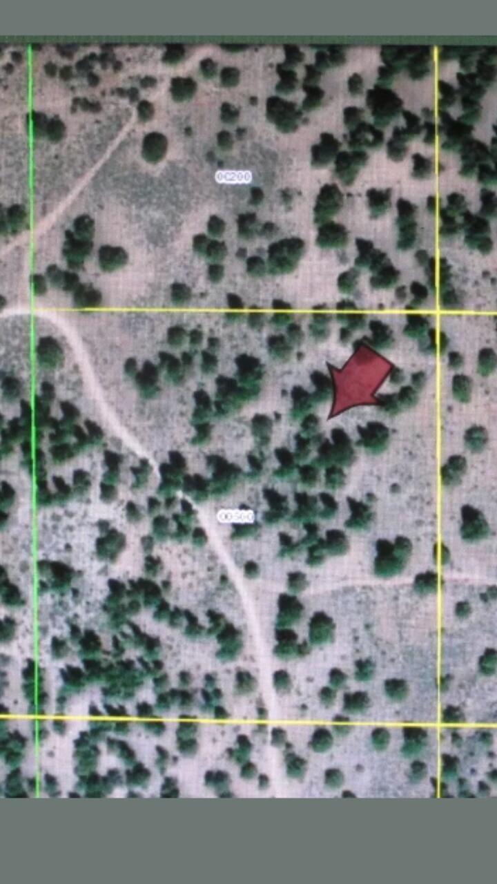0 Ferguson Mountain Road, Unit LOT 3 B 500 Beatty, OR 97621 - Photo 4 of 7 Ferguson4