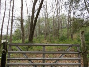 Tbd Tbd Lancaster Road Wise, VA 24293 - Photo 1 of 6 Photo 1