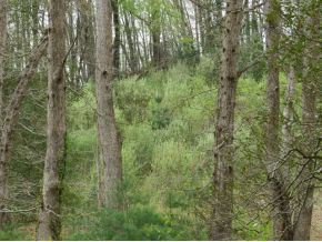 Tbd Tbd Lancaster Road Wise, VA 24293 - Photo 3 of 6 Photo 3
