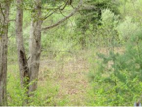 Tbd Tbd Lancaster Road Wise, VA 24293 - Photo 4 of 6 Photo 4