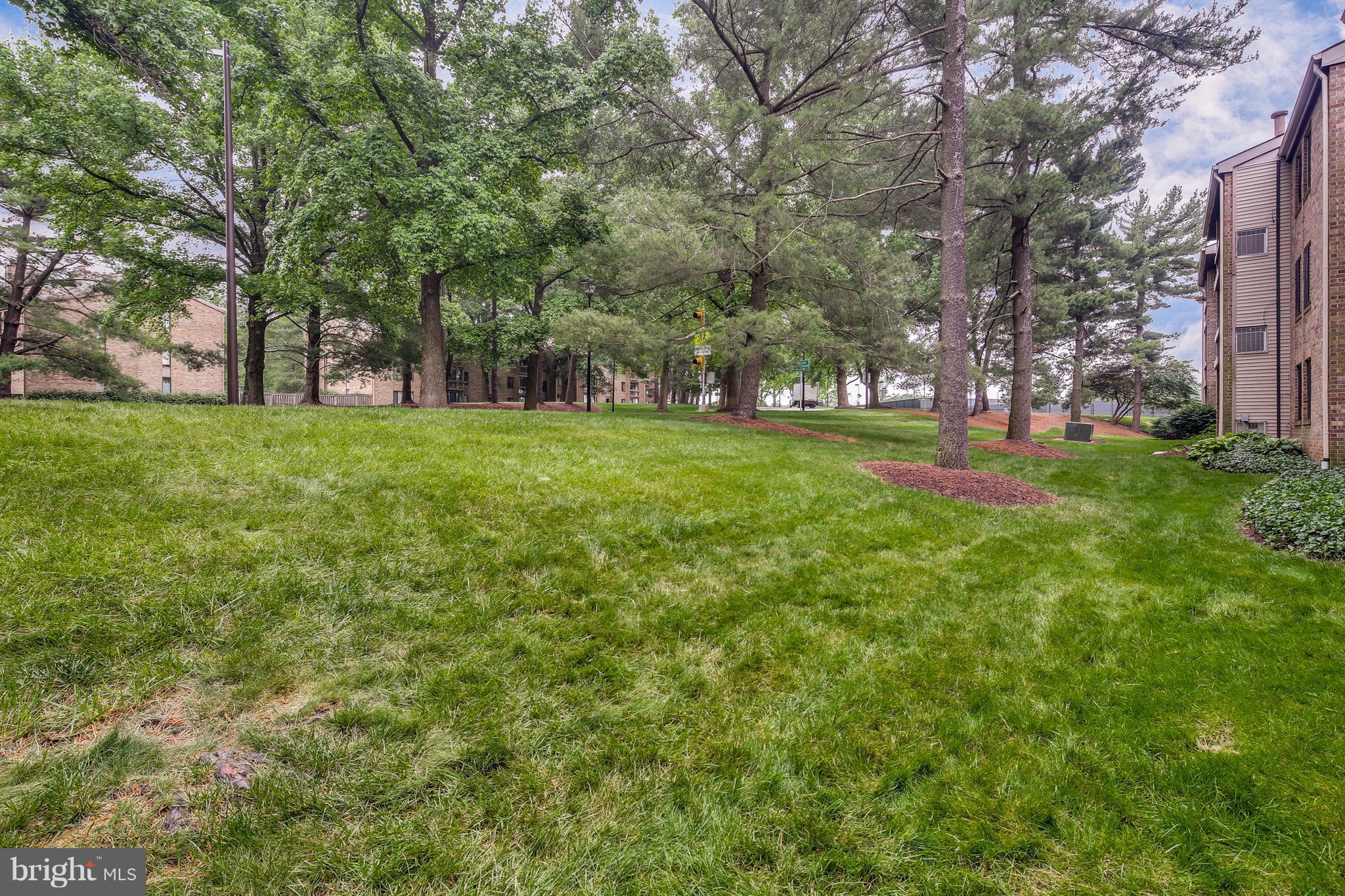 10547 Twin Rivers Road, Unit B1 Columbia, MD 21044 - Photo 29 of 30 View From Rear- Common Area
