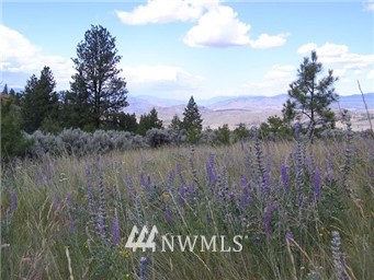 310 5 Mile Road Tonasket, WA 98855 - Photo 1 of 1 Gallery Image 1