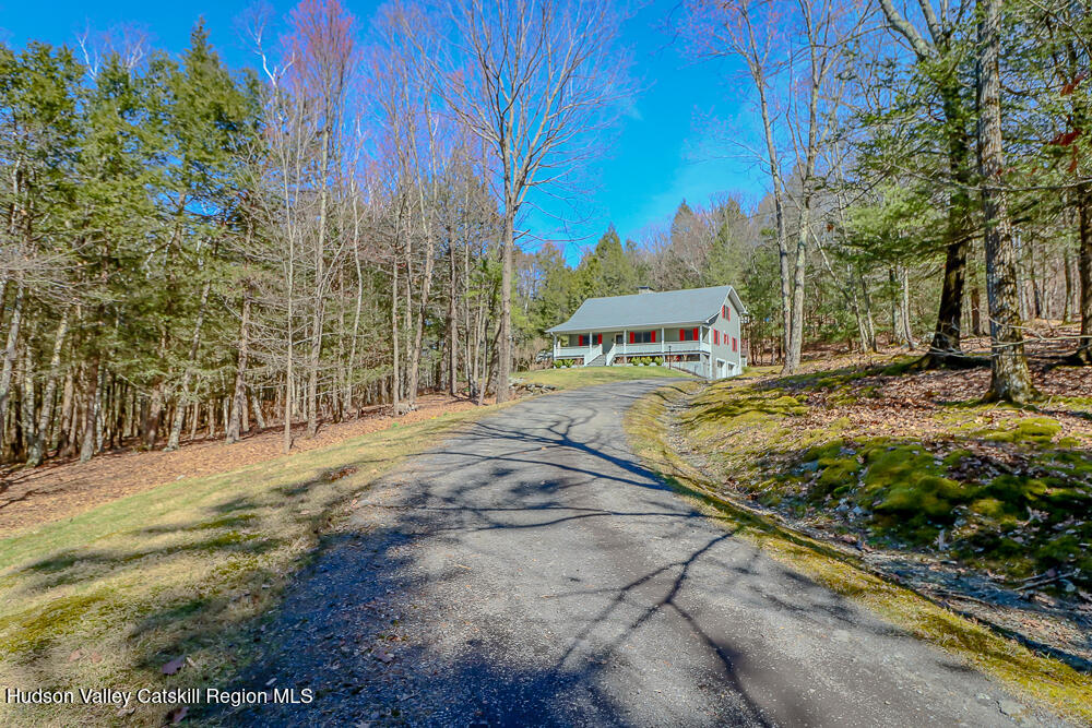 996 Dugway Road Spencertown, NY 12165 - Photo 4 of 63 IMG_9888