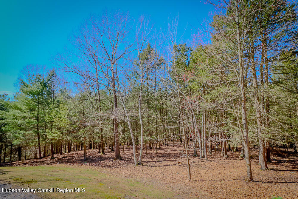 996 Dugway Road Spencertown, NY 12165 - Photo 60 of 63 IMG_9893