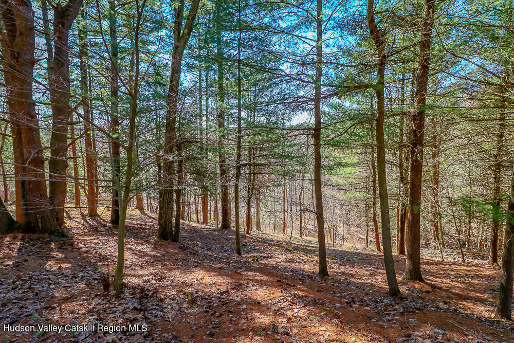 996 Dugway Road Spencertown, NY 12165 - Photo 62 of 63 IMG_9890