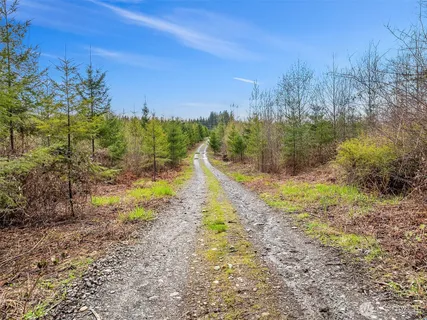 a view of a yard with a house