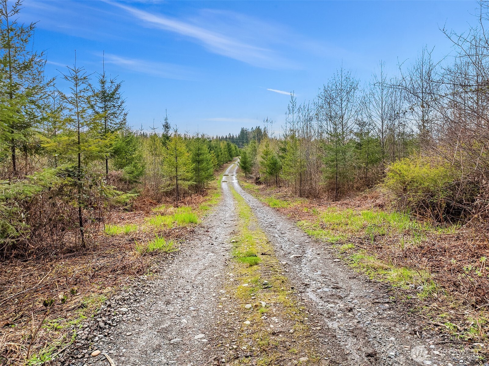 a view of a yard with a house