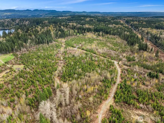 a view of a lake with a mountain in the background