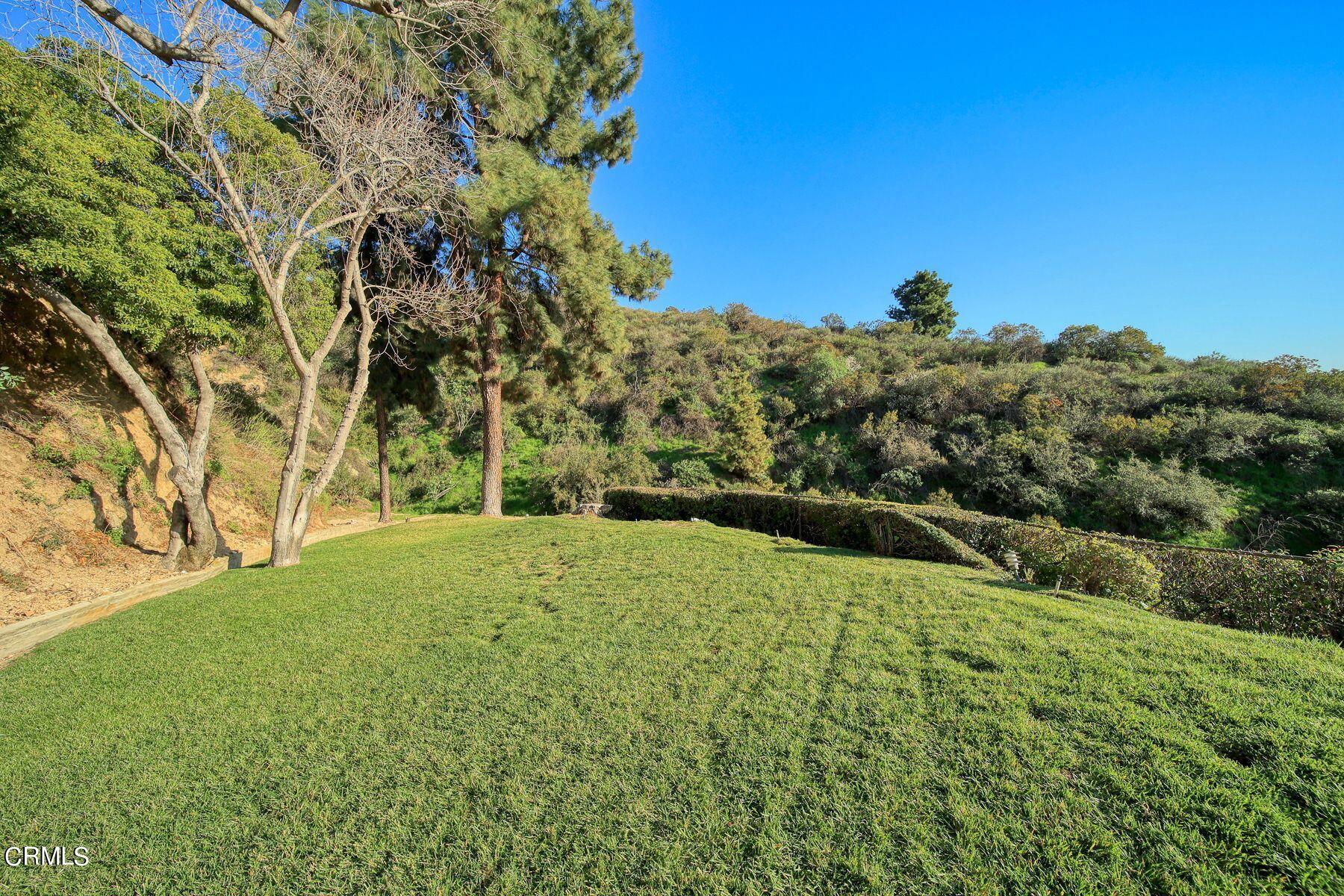 1826 Ransom Road Glendale, CA 91201 - Photo 50 of 61 a view of a field with a tree