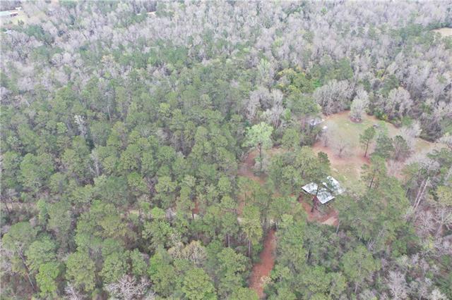 83104 Beason Road Folsom, LA 70437 - Photo 20 of 22