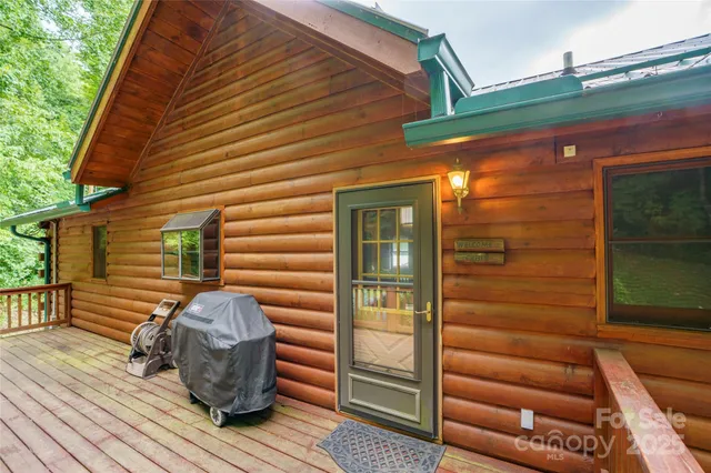 a view of a lush green forest with a mountain in the background