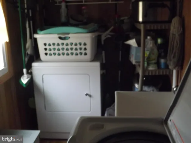 a view of a room with a couch and a potted plant