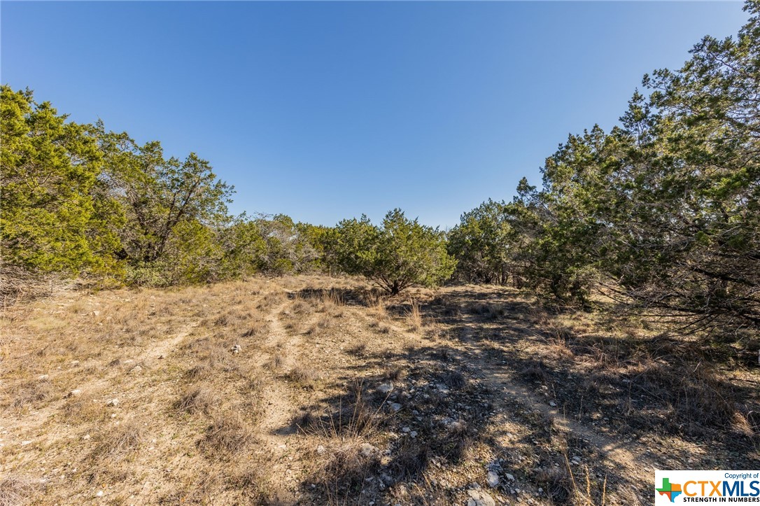 18300 Shepherds Corral Dripping Springs, TX 78620 - Photo 1 of 1 a view of a field with trees in the background