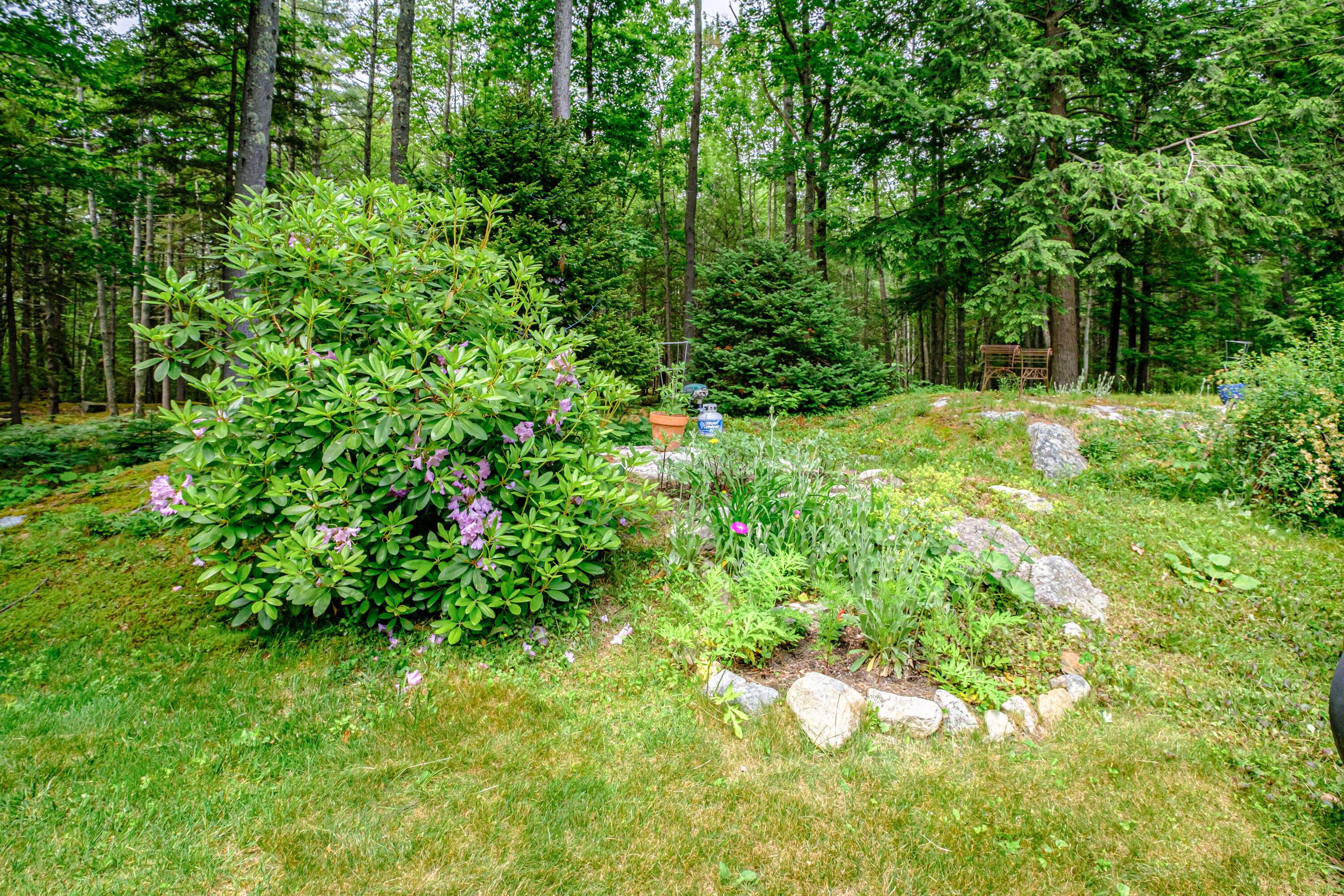 7 Indian Ridge Road Freeport, ME 04032 - Photo 15 of 43 20240614gp-61096