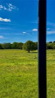 a view of yard from a window