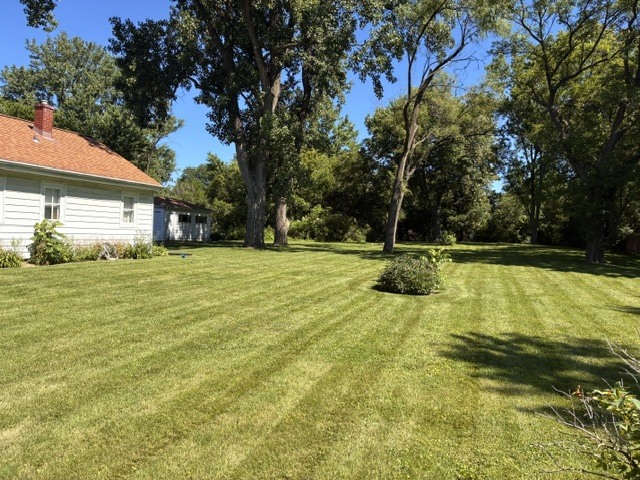 1822 Terrace Road Homewood, IL 60430 - Photo 3 of 14