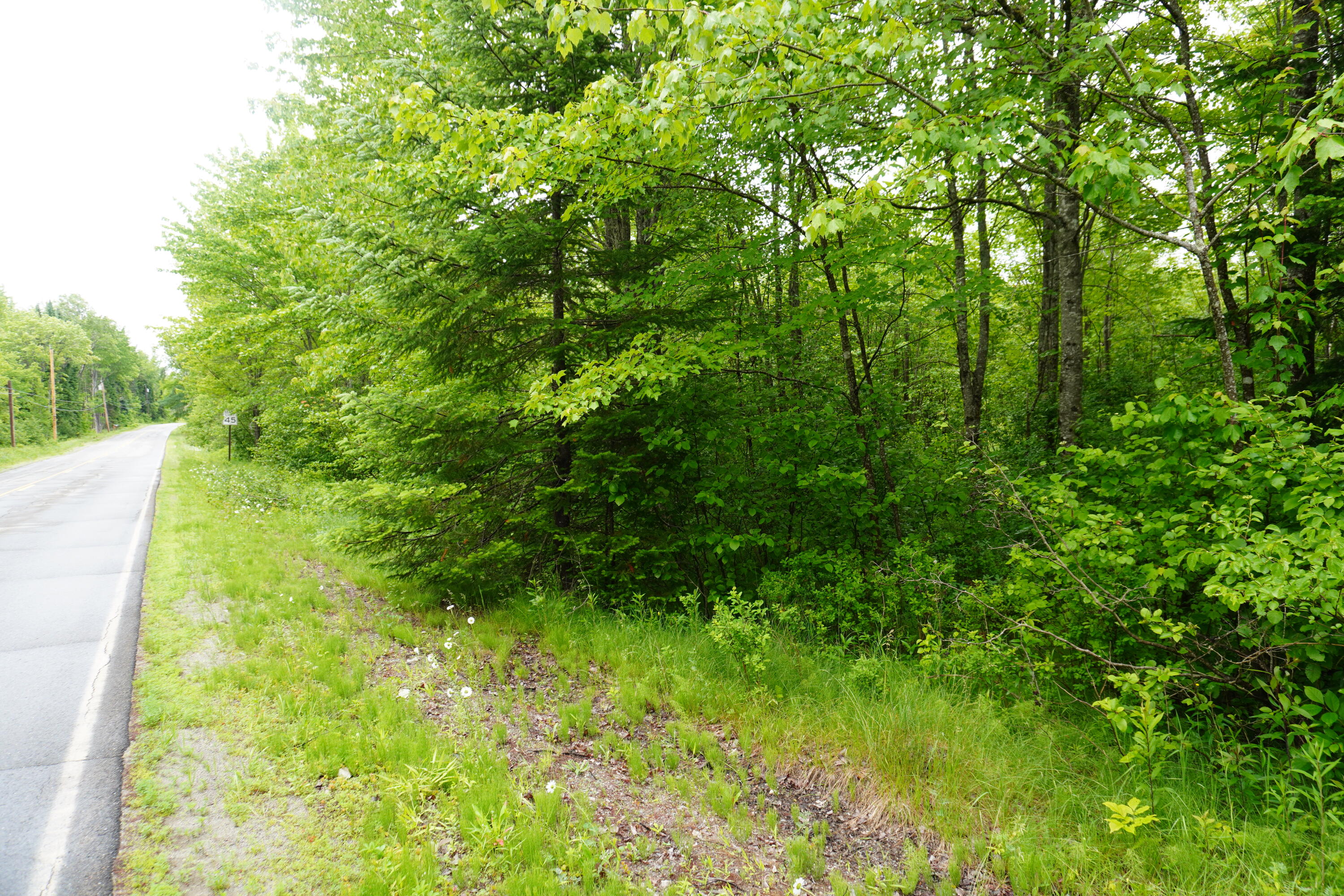 Lot 31 Edinburg Road Old Town, ME 04468 - Photo 4 of 6 Road