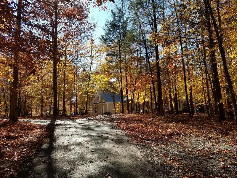 4396 Cobb Hollow Road Tullahoma, TN 37388 - Photo 9 of 25 Gallery Image 9