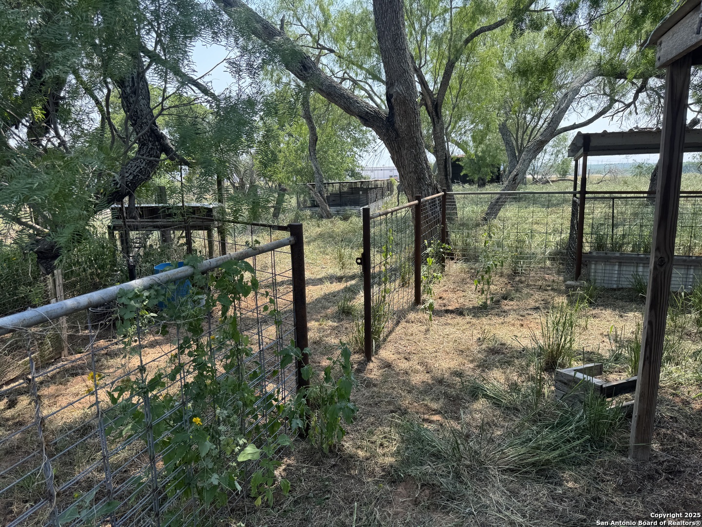 7084 Richter Road Elmendorf, TX 78112 - Photo 42 of 59