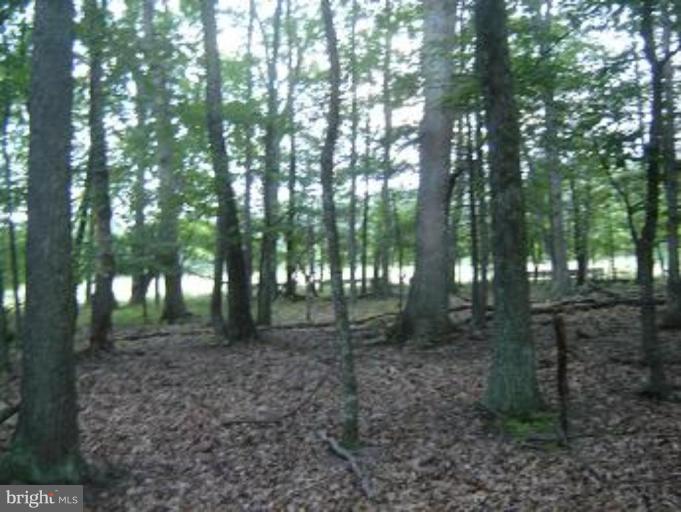Winchester Grade Road Berkeley Springs, WV 25411 - Photo 4 of 6 Wooded View / Acreage